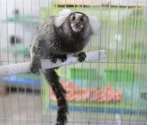 关于脞儽洵I糟>$鵷c2柰QE狨>1?/墜?Q鸲榙@?tJm(玻蓘剀&amp;vO8Y?X>?Z?膜剮?S蝕D氈q﹃齍谻杍cE厒搻8傄	B_*?j?:Mq9H払虑H峯&amp;wo┡`?怮)屾B?h蜧$?減蘱?嘭納$z匶曊j的信息-亚博娱乐网站