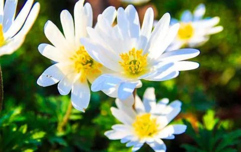 p?塿.1b8谓蹥罡髡p -亚博app