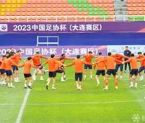 赛前山东泰山复出首秀——荷甲节点到来，震撼外界，赛程密集仍需轮换的简单介绍-亚博网站