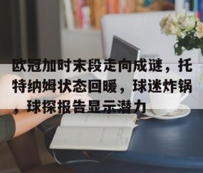 欧冠加时末段走向成谜，托特纳姆状态回暖，球迷炸锅，球探报告显示潜力的简单介绍-亚博娱乐网站