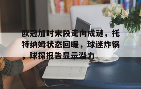 欧冠加时末段走向成谜，托特纳姆状态回暖，球迷炸锅，球探报告显示潜力的简单介绍-亚博娱乐网站